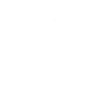 The Garage